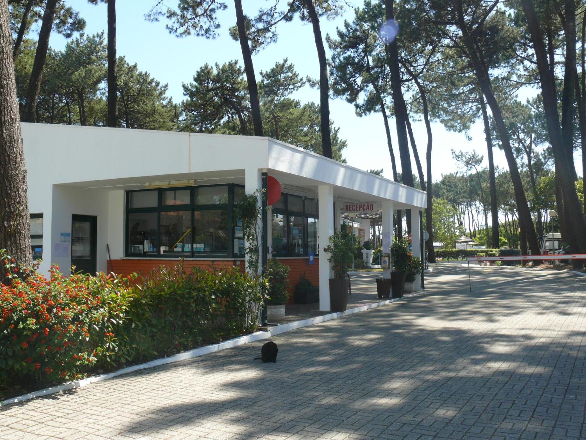 Parque De Campismo Orbitur Viana Do Castelo Hotel Buitenkant foto